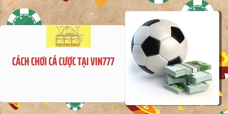 Cách chơi cá cược tại VIN777 trang web cá độ bóng đá uy tín