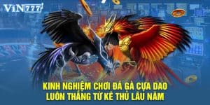 Kinh nghiệm chơi đá gà cựa dao luôn thắng từ kê thủ lâu năm 