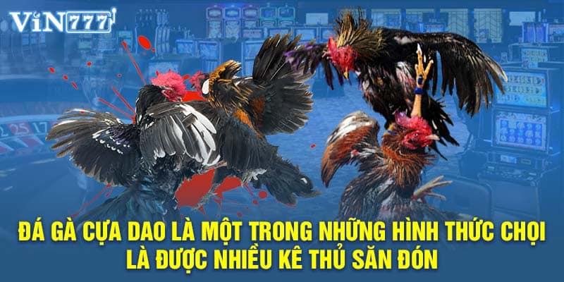 Đá gà cựa dao là một trong những hình thức chọi là được nhiều kê thủ săn đón