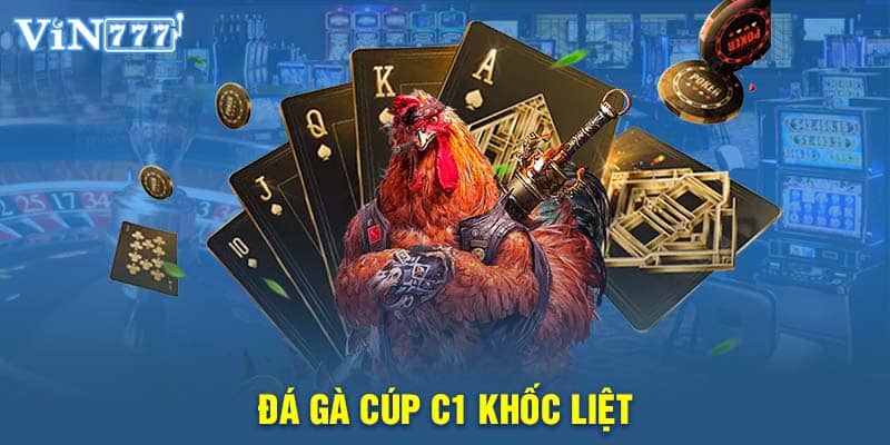 Đá gà cúp C1 - Giải đấu khốc liệt nhất tại các trường gà