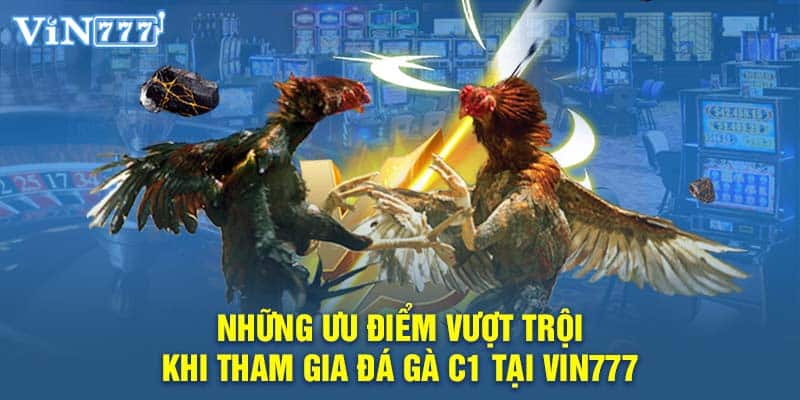 Những ưu điểm vượt trội khi tham gia đá gà C1 tại Vin777