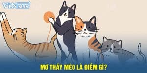 mơ thấy mèo điềm gì, đánh số gì?