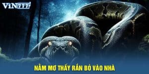 Nằm Mơ Thấy Rắn Bò Vào Nhà - Giải Mã Và Con Số Liên Quan