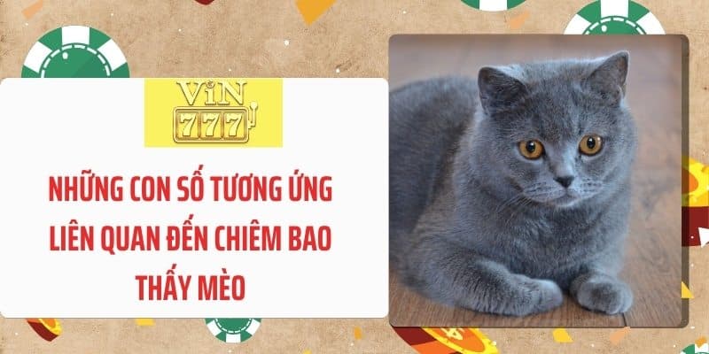 Những con số tương ứng liên quan đến chiêm bao thấy mèo